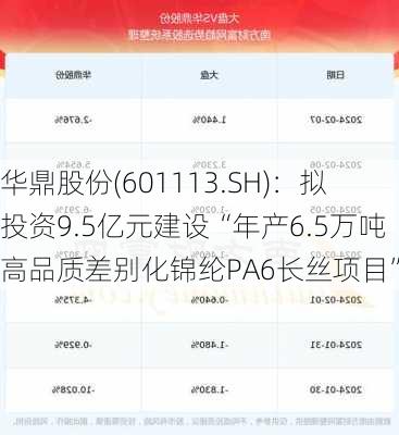 华鼎股份(601113.SH)：拟投资9.5亿元建设“年产6.5万吨高品质差别化锦纶PA6长丝项目”