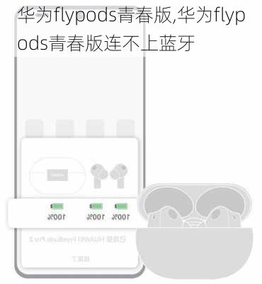 华为flypods青春版,华为flypods青春版连不上蓝牙