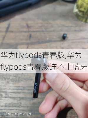 华为flypods青春版,华为flypods青春版连不上蓝牙