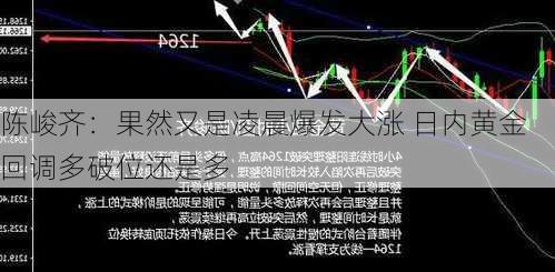 陈峻齐：果然又是凌晨爆发大涨 日内黄金回调多破位还是多