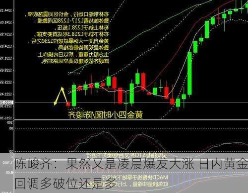 陈峻齐：果然又是凌晨爆发大涨 日内黄金回调多破位还是多