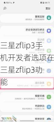 三星zflip3手机开发者选项在哪,三星zflip3功能