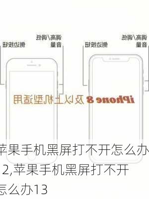 苹果手机黑屏打不开怎么办12,苹果手机黑屏打不开怎么办13