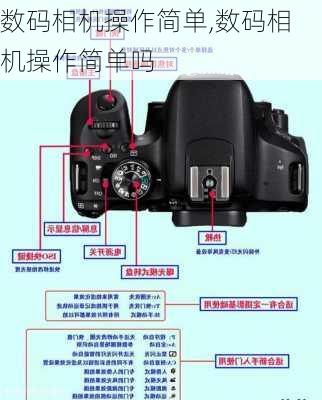 数码相机操作简单,数码相机操作简单吗