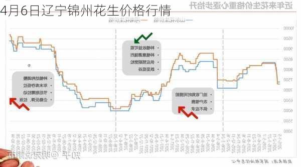 4月6日辽宁锦州花生价格行情