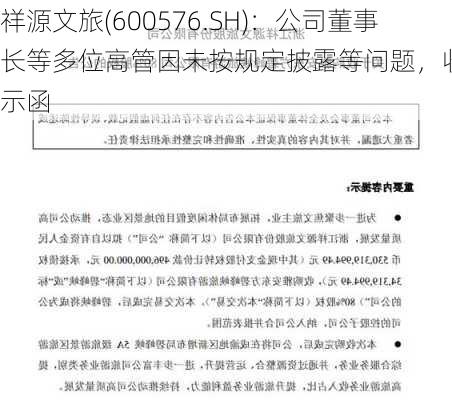 祥源文旅(600576.SH)：公司董事长等多位高管因未按规定披露等问题，收到警示函