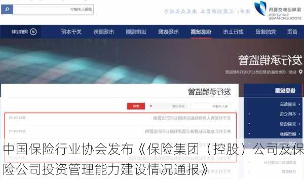 中国保险行业协会发布《保险集团（控股）公司及保险公司投资管理能力建设情况通报》
