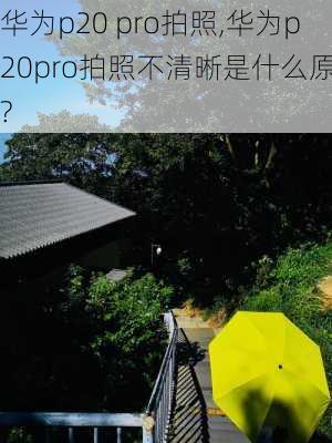 华为p20 pro拍照,华为p20pro拍照不清晰是什么原因?