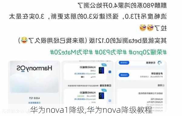 华为nova1降级,华为nova降级教程