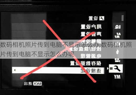 数码相机照片传到电脑不显示怎么办,数码相机照片传到电脑不显示怎么办呢