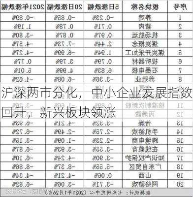 沪深两市分化，中小企业发展指数回升，新兴板块领涨