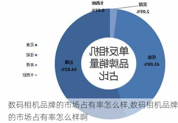 数码相机品牌的市场占有率怎么样,数码相机品牌的市场占有率怎么样啊