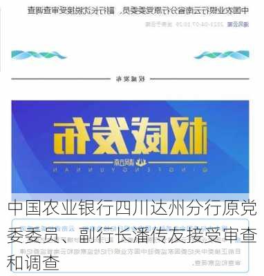 中国农业银行四川达州分行原党委委员、副行长潘传友接受审查和调查