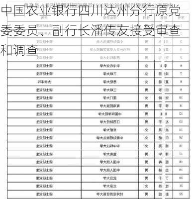 中国农业银行四川达州分行原党委委员、副行长潘传友接受审查和调查