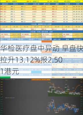 华检医疗盘中异动 早盘快速拉升13.12%报2.501港元