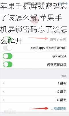 苹果手机屏锁密码忘了该怎么解,苹果手机屏锁密码忘了该怎么解开