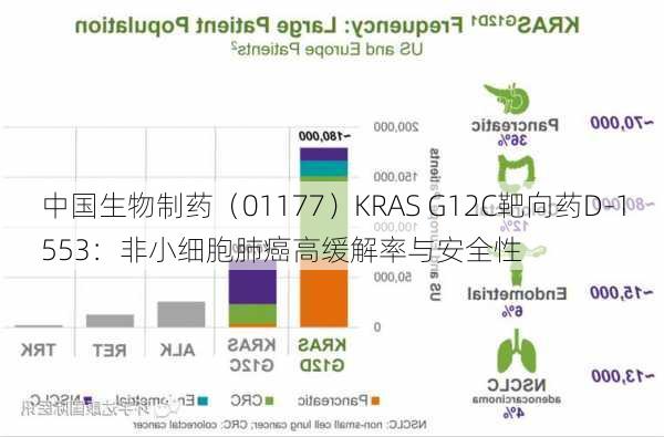 中国生物制药（01177）KRAS G12C靶向药D-1553：非小细胞肺癌高缓解率与安全性