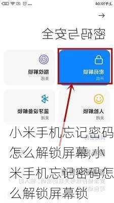 小米手机忘记密码怎么解锁屏幕,小米手机忘记密码怎么解锁屏幕锁