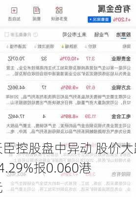 天臣控股盘中异动 股价大跌14.29%报0.060港元