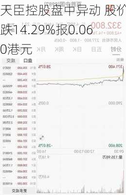 天臣控股盘中异动 股价大跌14.29%报0.060港元