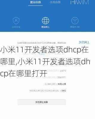 小米11开发者选项dhcp在哪里,小米11开发者选项dhcp在哪里打开