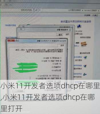 小米11开发者选项dhcp在哪里,小米11开发者选项dhcp在哪里打开