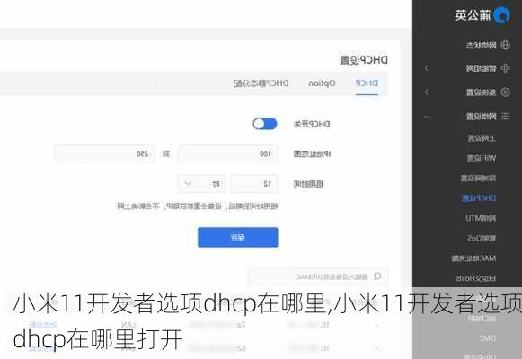 小米11开发者选项dhcp在哪里,小米11开发者选项dhcp在哪里打开