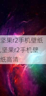 坚果r2手机壁纸,坚果r2手机壁纸高清