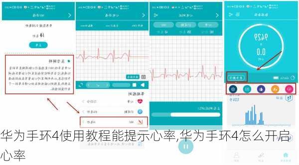 华为手环4使用教程能提示心率,华为手环4怎么开启心率