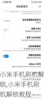小米手机刷机解锁,小米手机刷机解锁教程