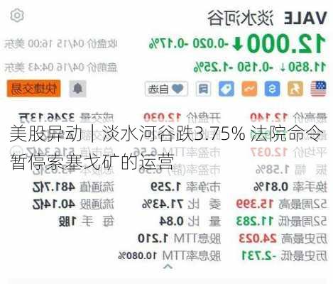 美股异动｜淡水河谷跌3.75% 法院命令暂停索塞戈矿的运营