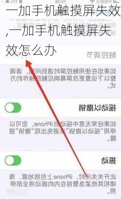 一加手机触摸屏失效,一加手机触摸屏失效怎么办