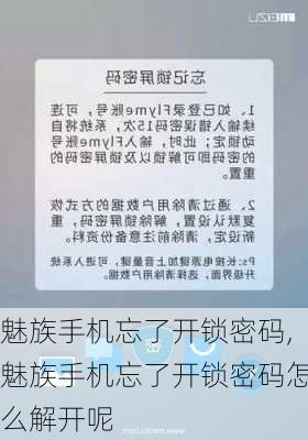 魅族手机忘了开锁密码,魅族手机忘了开锁密码怎么解开呢