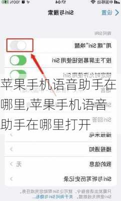 苹果手机语音助手在哪里,苹果手机语音助手在哪里打开