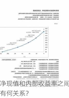 净现值和内部收益率之间有何关系？