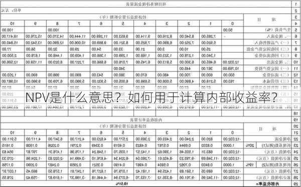 NPV是什么意思？如何用于计算内部收益率？