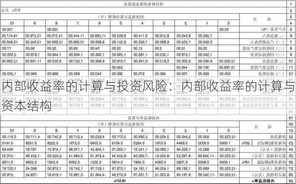 内部收益率的计算与投资风险：内部收益率的计算与资本结构