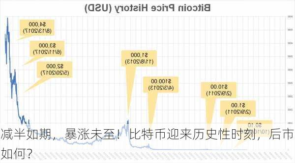 减半如期，暴涨未至！比特币迎来历史性时刻，后市如何？