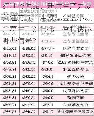 红利资源品、新质生产力成关注方向！中欧基金蓝小康、葛兰、刘伟伟一季报透露哪些信号？