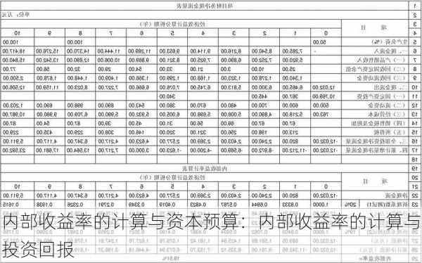 内部收益率的计算与资本预算：内部收益率的计算与投资回报