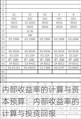 内部收益率的计算与资本预算：内部收益率的计算与投资回报