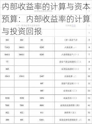 内部收益率的计算与资本预算：内部收益率的计算与投资回报