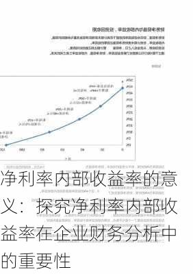 净利率内部收益率的意义：探究净利率内部收益率在企业财务分析中的重要性