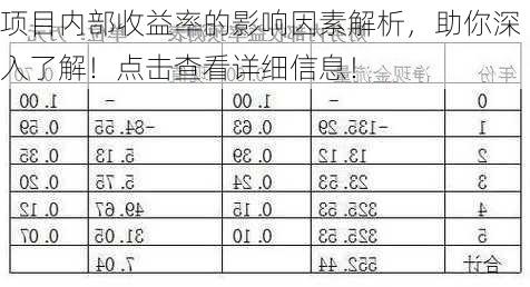 项目内部收益率的影响因素解析，助你深入了解！点击查看详细信息！