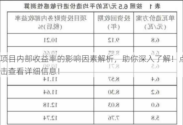 项目内部收益率的影响因素解析，助你深入了解！点击查看详细信息！