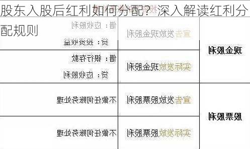 股东入股后红利如何分配？深入解读红利分配规则