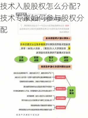 技术入股股权怎么分配？技术专家如何参与股权分配