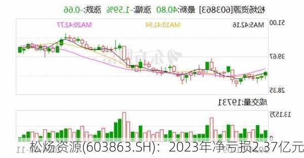 松炀资源(603863.SH)：2023年净亏损2.37亿元