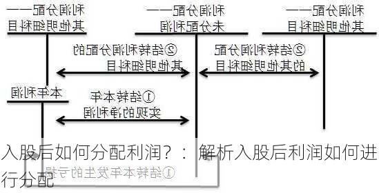 入股后如何分配利润？：解析入股后利润如何进行分配