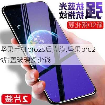 坚果手机pro2s后壳膜,坚果pro2s后盖玻璃多少钱